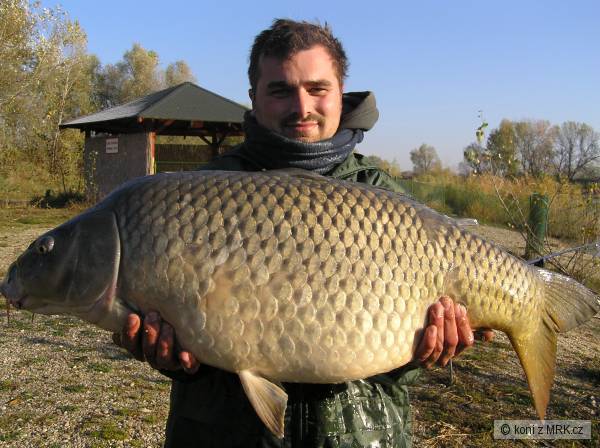 15,6 kg