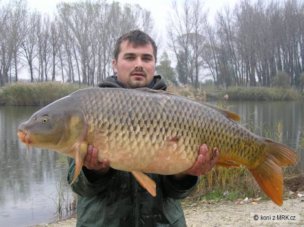 18,1 kg