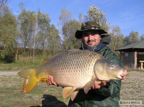 13,4 kg