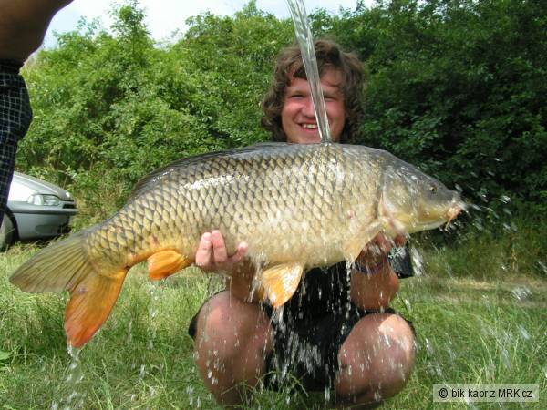 12kg kapr