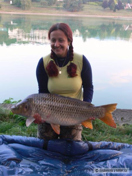 kapr 13 kg 88 cm