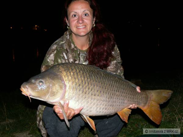 80 cm 9,5 kg