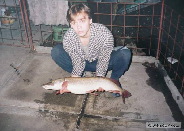81 cm