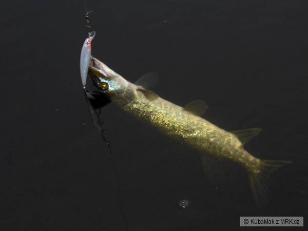 Lipno3
