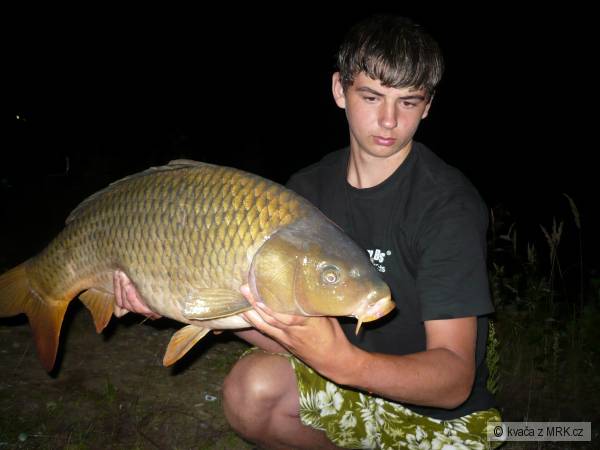 kapr 80 cm 11.5 kg