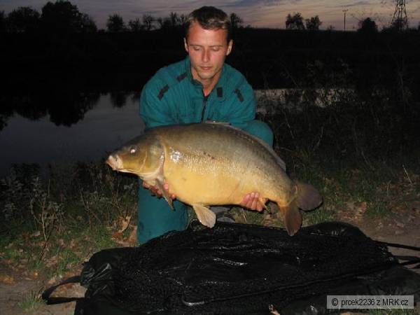 85 cm 14,5 kg