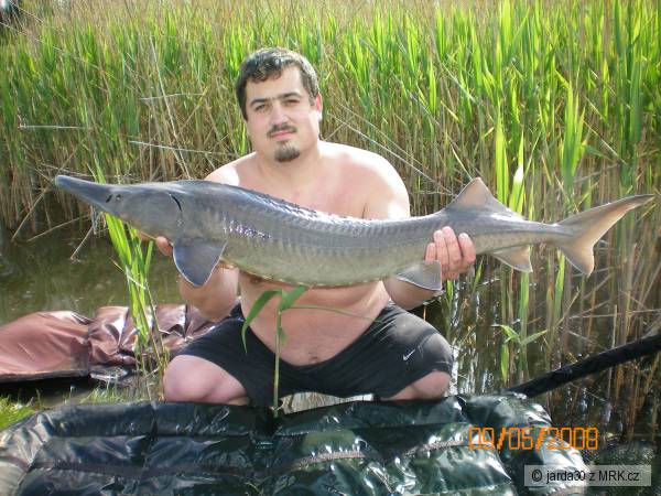 Soukrom�k v Rakousku