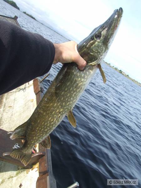 Lough Corrib, Irsko