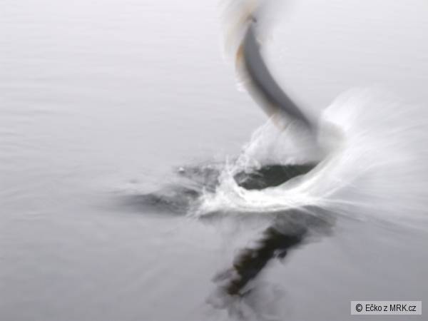 Lough Corrib, Irsko