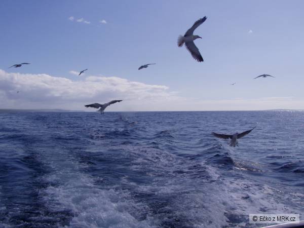 Atlantick� oce�n, Irsko