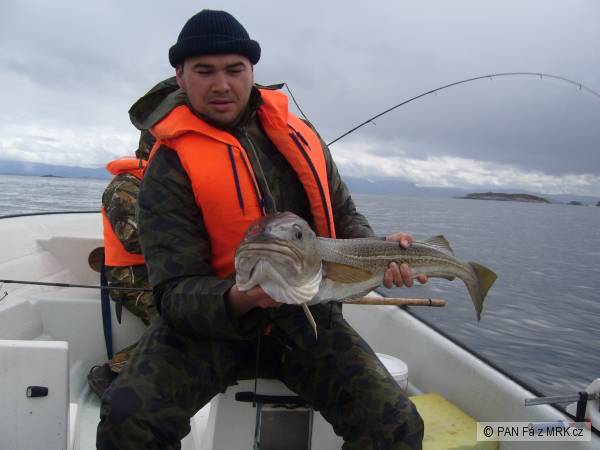 treska obecna