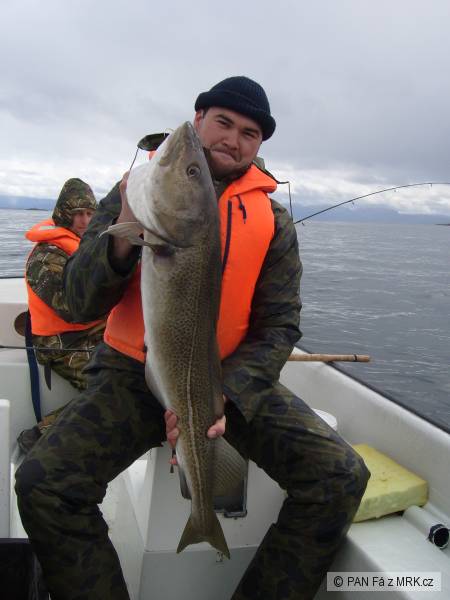 treska obecna