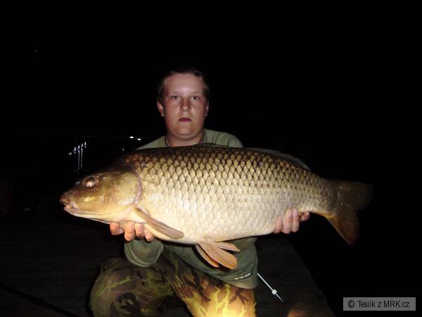 Kapr 17kg ... 