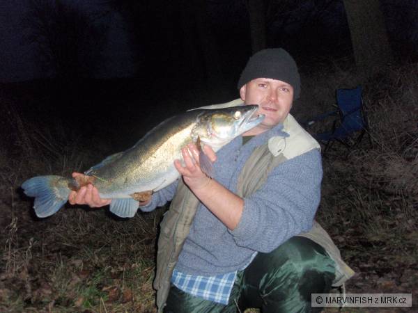 dal�� po��dn� kusanec