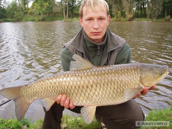 amur 90cm 9kg