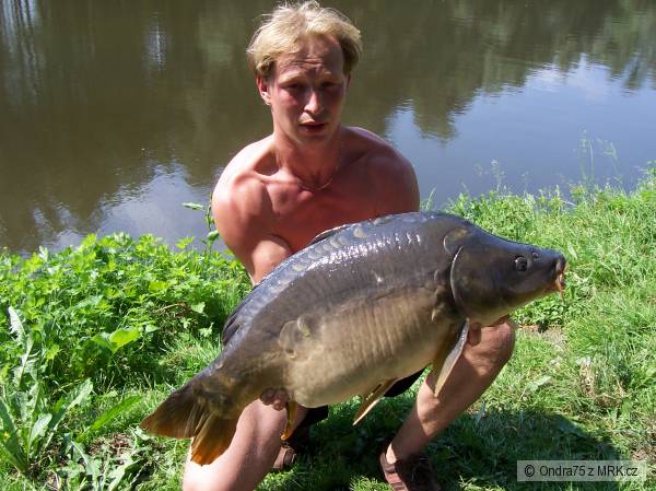 kapr 83cm 13kg
