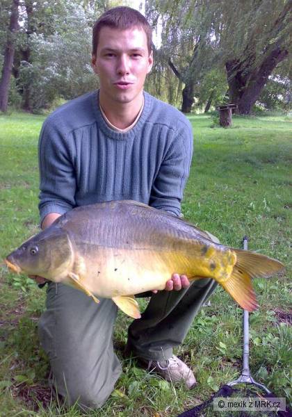 Kapr obecn� 73 cm
