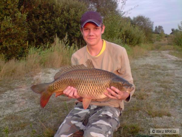 Carp 68