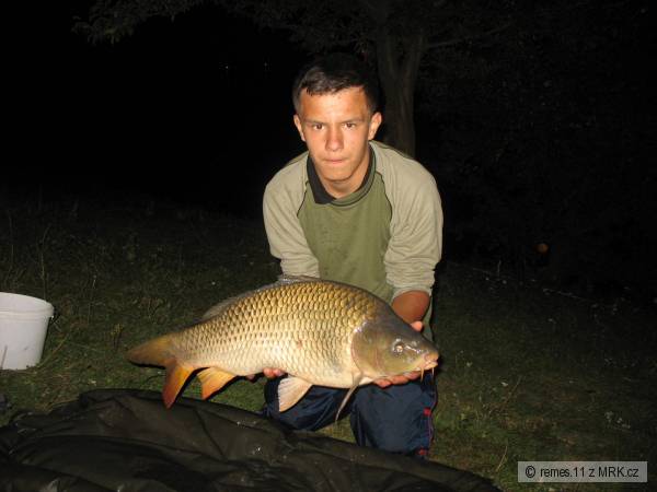 Carp
