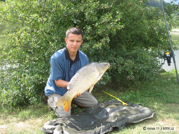 Carp
