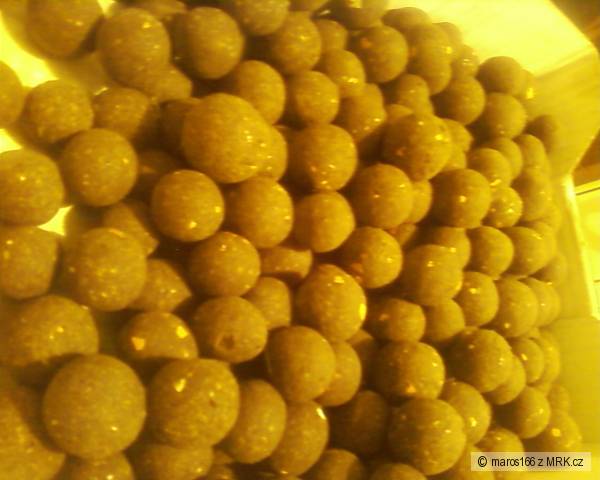 boilies