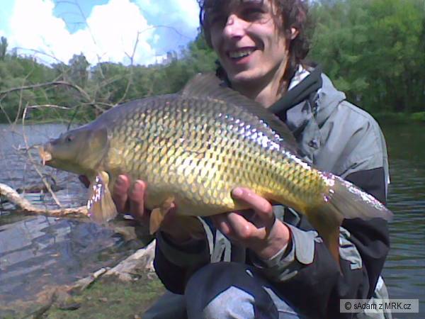 Morava 10A