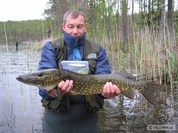 �v�dsko 2008