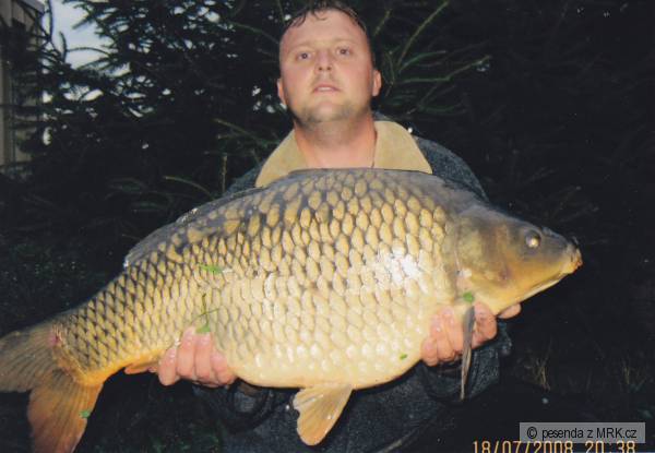 Kapr 13 kg 79 cm