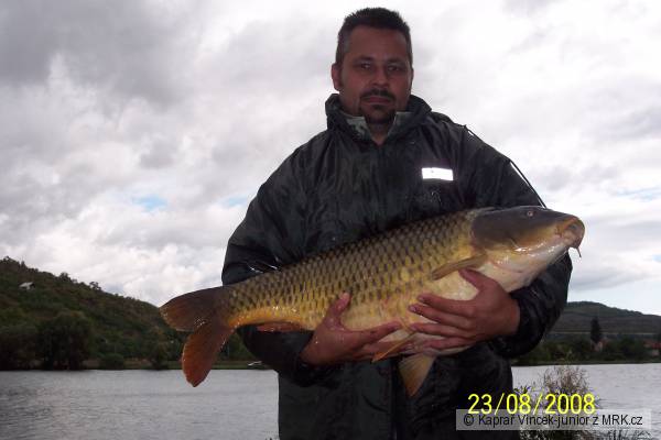 kapr 92cm,18kg