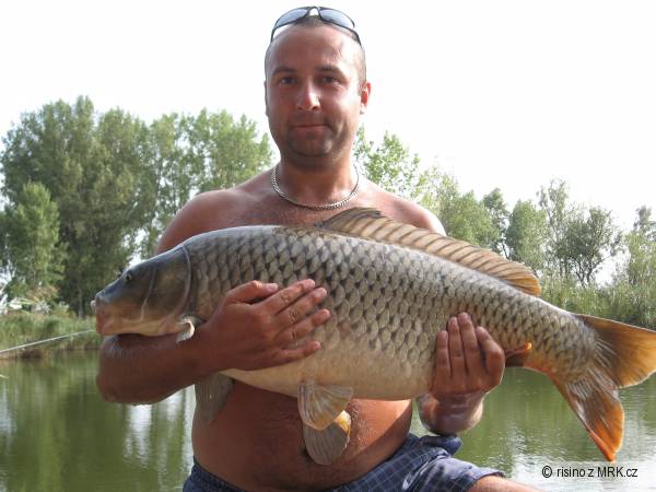 Andrejko