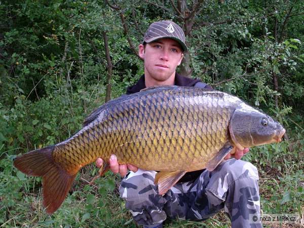 kap�ik cca10-11kg