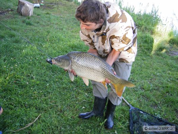 kapr ze sezony 2007\08, 10,2 kg  