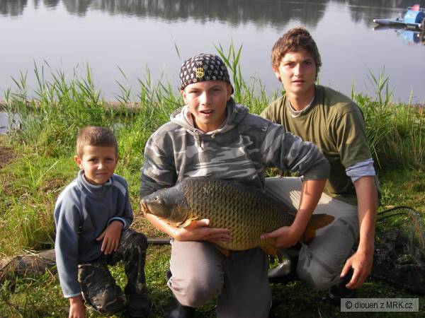bratr�v nejv�t�� kapr 2007/08 12 kg