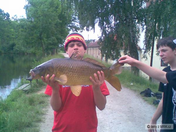 carp