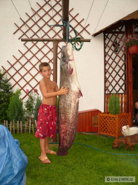 160 cm, 30 kg