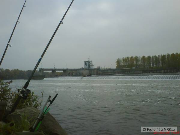 VD SELICE