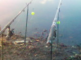 Moje pruty 2008