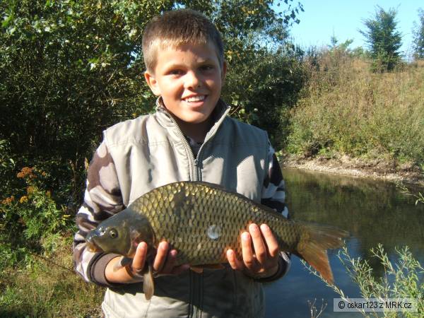 Kapr Obecny 48cm