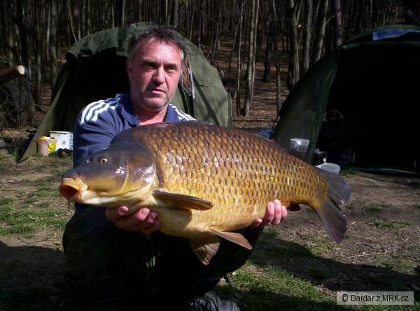 Slapy 2008