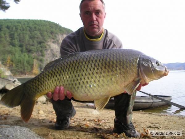 Slapy 2008
