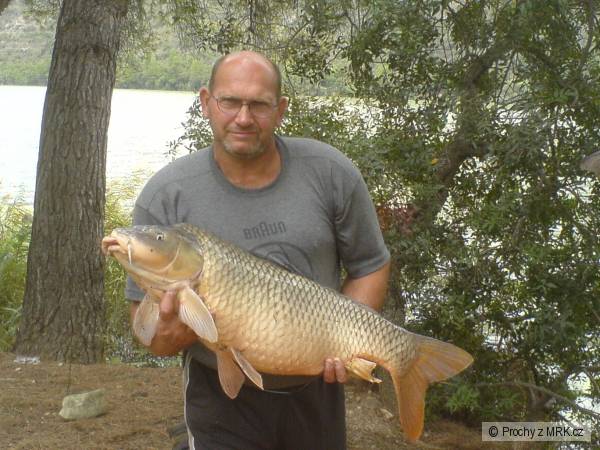 EBRO