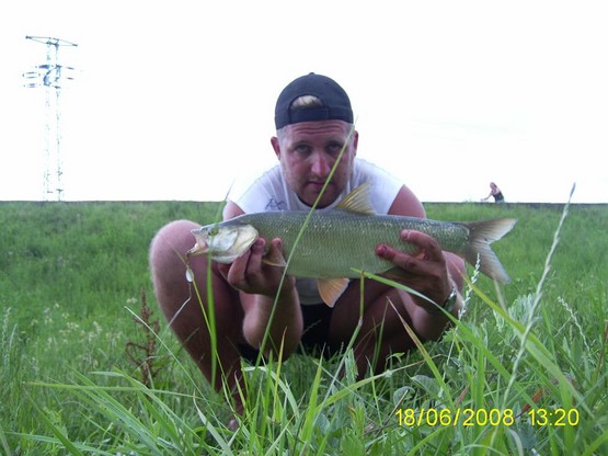 Bole� 56 cm, 2 kg