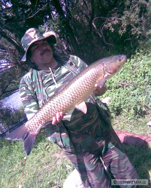 amur85cm