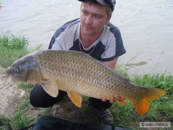 A to uz je kapr ze skalicky