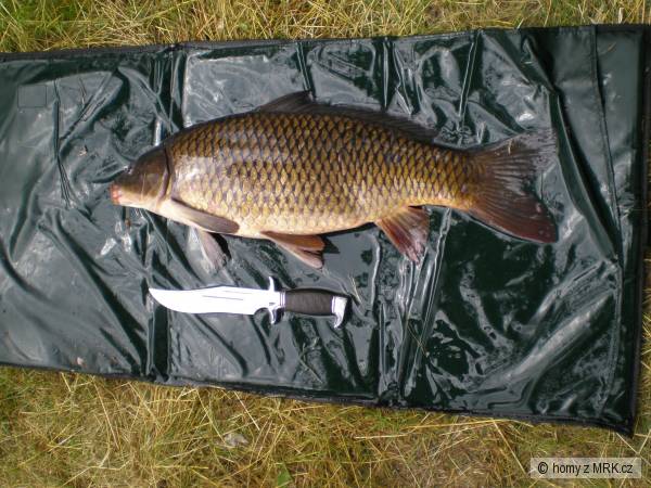 Orl�k 2008
