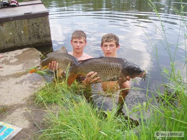 Petch a M�covej