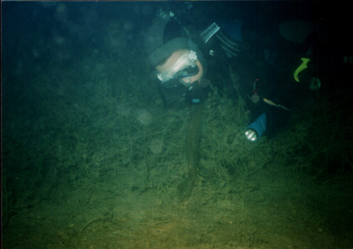 Pod vodou 4