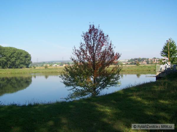L�to 2008 �erotice