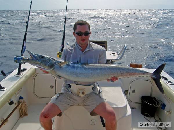 Wahoo - Cape Verde
