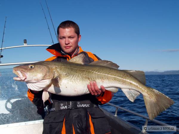 Treska 112cm Soroya
